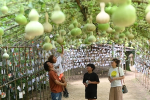 [화보] 웃음꽃 피는 조롱박 터널
