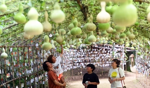 [포토] 입추엔 행복이 주렁주렁