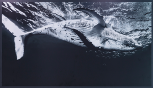 [이슈&스토리] 국립인천해양박물관 ‘고래와 인간’展