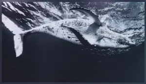 [이슈&스토리] 국립인천해양박물관 ‘고래와 인간’展