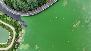 ‘녹조라떼’ 기흥호수… 참을 ‘인’ 넘어선 기준치