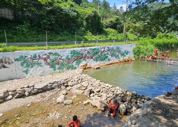 양주시 장흥계곡 물막이. /경기도 제공