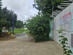 폐교에 싹튼 치유와 회복… 부천 ‘대장분교 치유텃밭’