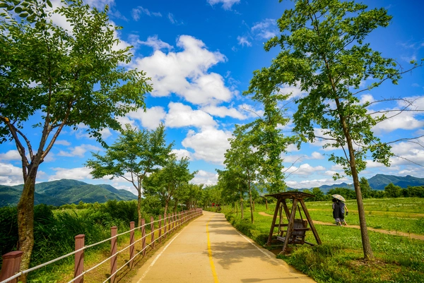 광주 팔당물안개공원이 수도권 대표 수변공원으로 자리잡은 가운데 화장실 등 이용객들의 편의시설 확충에 대한 목소리도 높아지고 있다. /광주시 제공