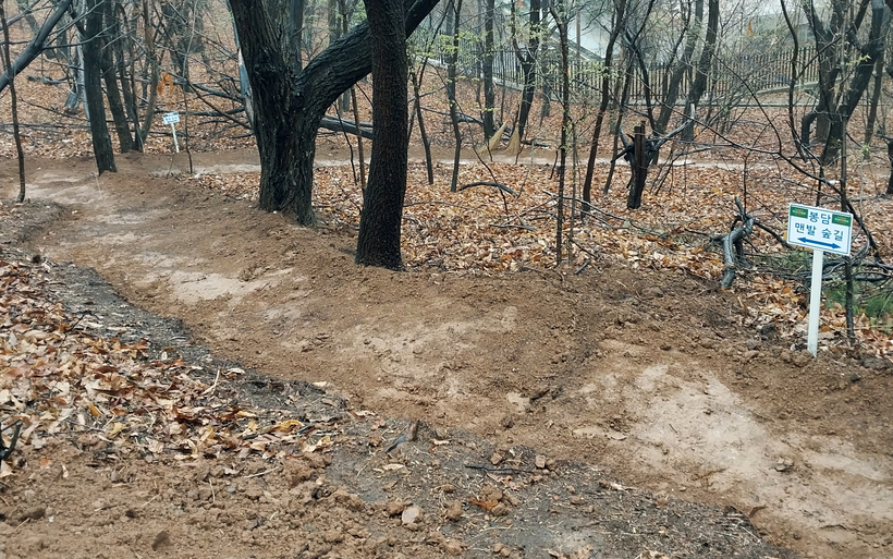 지자체 지원에 폭발적 증가세… 유행 지나면 노후·방치될라