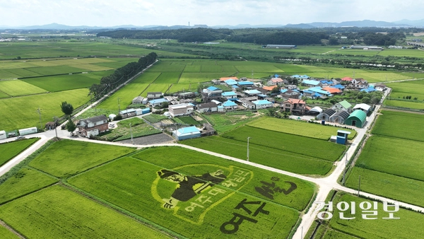 쌀의 날을 하루 앞둔 17일 여주시의 한 들녘에 형형색색 유색 벼를 활용해 수놓은 ‘논 아트(art)’가 눈길을 끌고 있다. 2025.8.17 /최은성기자 ces7198@kyeongin.com