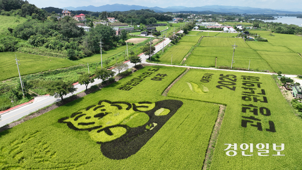 쌀의 날을 하루 앞둔 17일 여주시의 한 들녘에 형형색색의 유색 벼를 이용해 수놓은 ‘논 아트(art)’가 눈길을 끌고 있다. 쌀의 날은 매년 8월 18일로 쌀의 가치와 소비 촉진을 알리기 위해 제정된 기념일이다. 2025.8.17 /최은성기자 ces7198@kyeongin.com