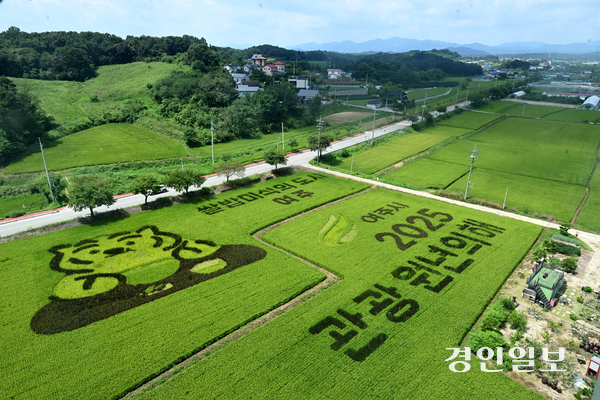 쌀의 날을 하루 앞둔 17일 여주시의 한 들녘에 형형색색 유색 벼를 활용해 수놓은 ‘논 아트(art)’가 눈길을 끌고 있다. 2025.8.17 /최은성기자 ces7198@kyeongin.com