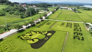 [포토] 8월 18일은 ‘쌀의 날’… 논 위에 아트