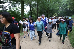 남양주시, 광복 80주년 기념 ‘3.5㎞ 평화통일기원’ 시민걷기대회