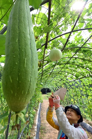 [포토] 무르익는 가을