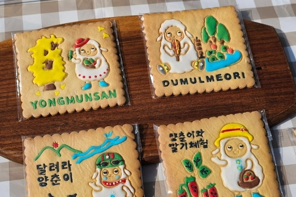 양평군 소재 카페 스윗타임에서 양춘이를 활용해 만든 아이싱쿠키. 스윗타임 관계자는 “아이들이 좋아하는 기존 캐릭터는 일본 등 해외 캐릭터인데 지역과 연결된 캐릭터가 있고 소상공인이 그것을 접목해서 소개할 수 있다는 점에서 캐릭터 활용도도 높다”고 평했다. /양평군 제공