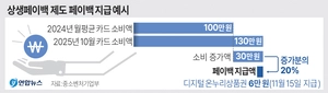 상생페이백 9~11월 시행… 작년보다 카드 사용액 많으면 석달간 30만원 한도 환급