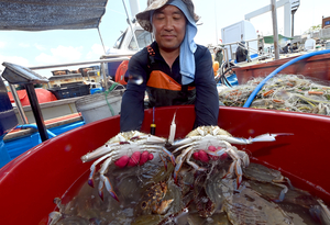 [포토] 금어기 풀린 가을꽃게