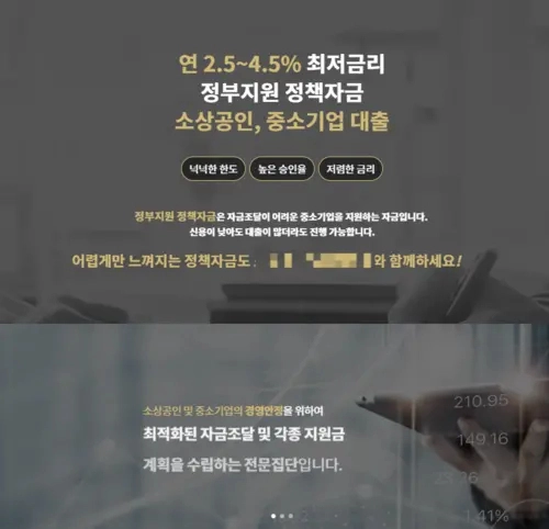 허위 광고에 첨부된 링크에 접속하면 연결되는 민간 업체의 홈페이지. 소상공인과 중소기업이 정부 지원 정책자금을 받을 수 있도록 컨설팅을 제공한다고 소개하고 있다. /업체 홈페이지 캡처