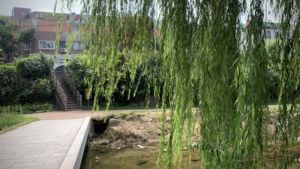 [사건 인사이드] 수원천은 어떻게 물고기를 잃었나