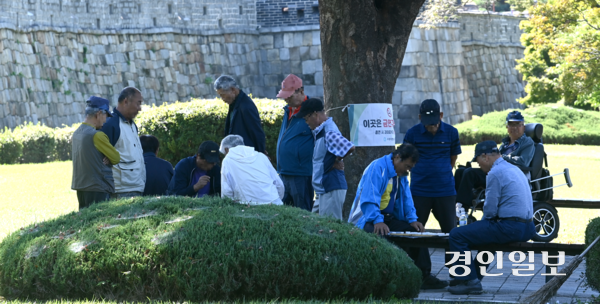 사진은 수원시 장안공원에서 노인들이 장기를 두며 시간을 보내고 있는 모습. /경인일보DB