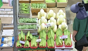 [사설] 먹거리물가 안정에 배전의 노력 당부한다