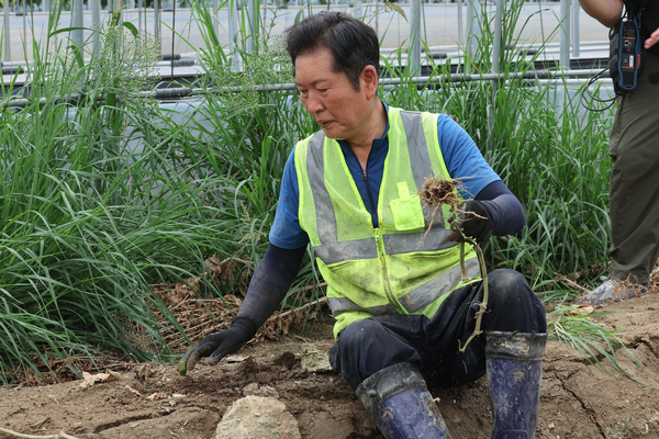 정청래 신임 더불어민주당 대표가 3일 오전 전남 나주시 노안면 오이농가를 찾아 수해 복구 작업을 하고 있다. 2025.8.3 /연합뉴스