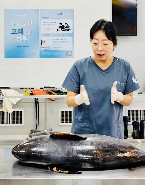 이영란 플랜오션 대표의 활동 모습들. /플랜오션 제공