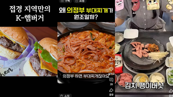 ‘경기북부특별자치도 1인 크리에이터 제작 지원 사업’에 참가한 숏츠 영상 캡처.