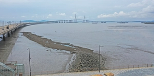 [위크&인천] 인공습지 ‘송도국제에코센터’ 생태계 새 보금자리 될까