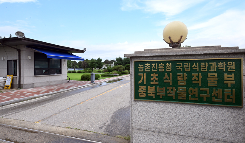 효율성 안 따져보고… 농진청 수원 재입성 꿈 물거품됐다