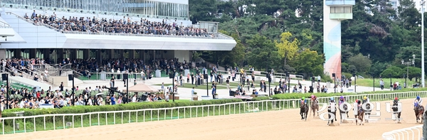 7일 오전 과천시 렛츠런파크 서울에서 열린 ‘제8회 코리아컵&코리아스프린트’에서 선수들이 열띤 경기를 펼치고 있다. 2025.9.7 /최은성기자 ces7198@kyeongin.com