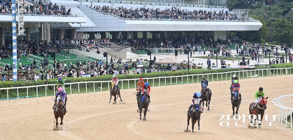7일 오전 과천시 렛츠런파크 서울에서 열린 ‘제8회 코리아컵&코리아스프린트’에서 선수들이 열띤 경기를 펼치고 있다. 2025.9.7 /최은성기자 ces7198@kyeongin.com