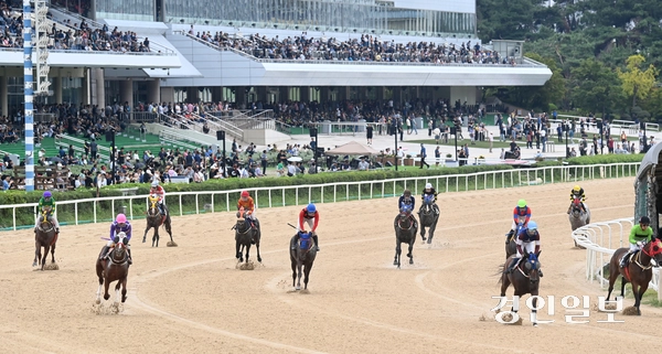 7일 오전 과천시 렛츠런파크 서울에서 열린 ‘제8회 코리아컵&코리아스프린트’에서 선수들이 열띤 경기를 펼치고 있다. 2025.9.7 /최은성기자 ces7198@kyeongin.com