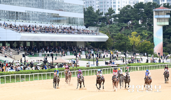 7일 오전 과천시 렛츠런파크 서울에서 열린 ‘제8회 코리아컵&코리아스프린트’에서 선수들이 열띤 경기를 펼치고 있다. 2025.9.7 /최은성기자 ces7198@kyeongin.com