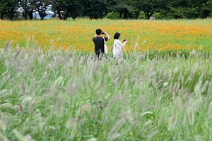 [화보] ‘백로’에 즐기는 가을 산책