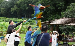[포토] 가을 향한 오색 날갯짓