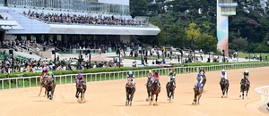 [포토] 하늘은 높고, 말은 달린다