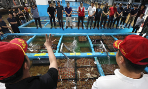 [포토] 꽃게 경매장 분주한 손길