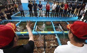 [포토] 꽃게 경매장 분주한 손길