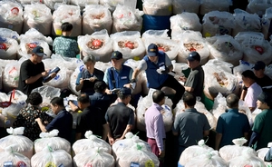 [포토] 입맛 돋우는 추젓 경매
