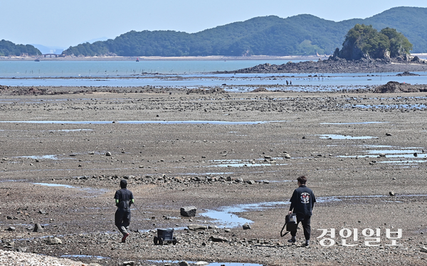 11일 오전 인천시 옹진군 영흥면 해안에서 방문객들이 해루질을 하기 위해 이동하고 있다. 이날 새벽 해당 장소 인근 섬에서 인천해경서 소속 이재석 경사가 고립된 70대 중국인 남성 A씨에게 자신이 입고 있던 부력조끼를 건네 구조한 후 실종됐다가 심정지 상태로 발견돼 병원에 옮겨졌으나 끝내 숨졌다. 2025.9.11 /조재현기자 jhc@kyeongin.com