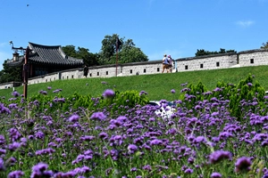 [포토] 푸르른 가을날, 성곽 걷는 시민들