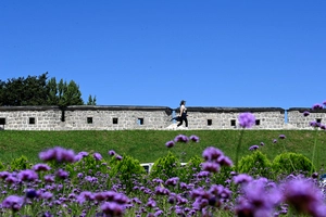 [화보] 파란 하늘이 드리운 장안문