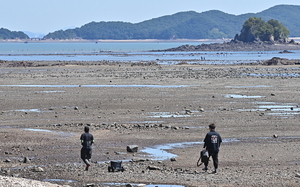 [영상+] 무분별한 해루질의 위험성, 결국 해경이 짊어졌다