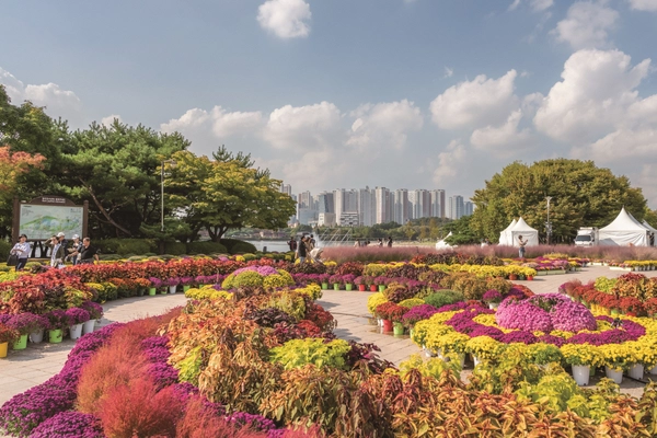 ‘2024 고양가을꽃축제’ 전경. /고양소식 제공