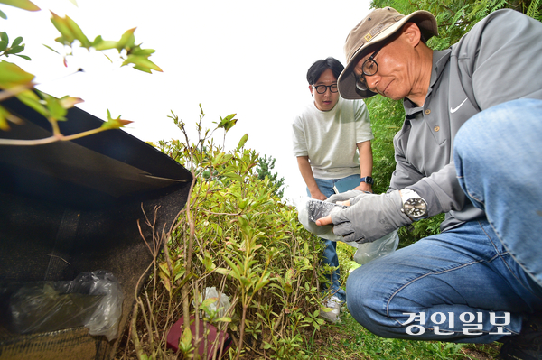 지난 12일 오후 인천 송도국제도시 한 공원에 놓여진 길고양이 급식소에서 ‘너구리 전문가’로 알려진 박병권 한국도시생태자원연구소장이 너구리 흔적을 살펴보고 있다. 2025.9.12 /조재현기자 jhc@kyeongin.com