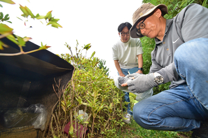 “살기 좋은 송도 도심공원” 너구리 출몰 이유 찾았다