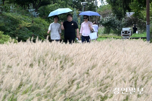 완연한 가을 날씨를 보인 18일 오후 수원시 팔달구 서호공원에서 시민들이 수크령 사이를 산책하며 즐거운 시간을 보내고 있다. 2025.9.18 /최은성기자 ces7198@kyeongin.com