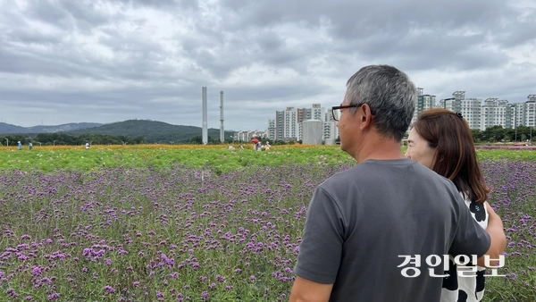 강원도 철원군에서 천만송이 천일홍 축제장을 찾은 이용운(57)·박지현(57) 부부. 조심스레 사진을 찍자고 얘기를 꺼내니 못내 쑥쓰러움을 드러내며 포즈를 취하고 있다. 2025.9.19 /조수현기자 joeloach@kyeongin.com