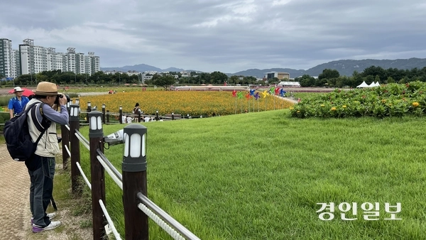 19일 오전 11시께 양주시 나리공원. 이곳을 찾은 시민이 꽃을 촬영하고 있다. 2025.9.19 /조수현기자 joeloach@kyeongin.com