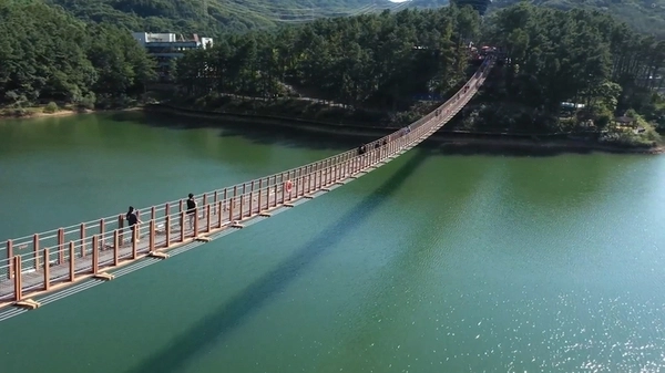파주 마장호수 출렁다리. /파주시 제공