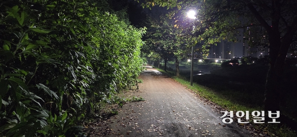 돼지풀 등 수풀이 우거진 파주 소리천 산책로. 2025.9.22 파주/이종태기자 dolsaem@kyeongin.com