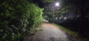 “산책길에 돼지풀 무성”… 파주 소리천 통행 주민 불편